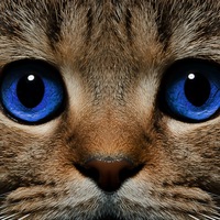 Елена Булыгина | Иваново