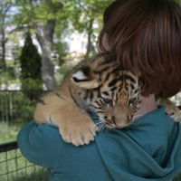 Татьяна Лучкова-Жеребецкая