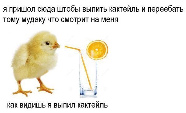 bDnWSCjAoxs.jpg