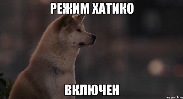 хатико ок жду картинки онлайн хатико ок жду картинки