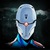 Gray Fox