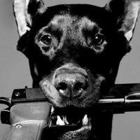 Анастасия Анисимова | Екатеринбург