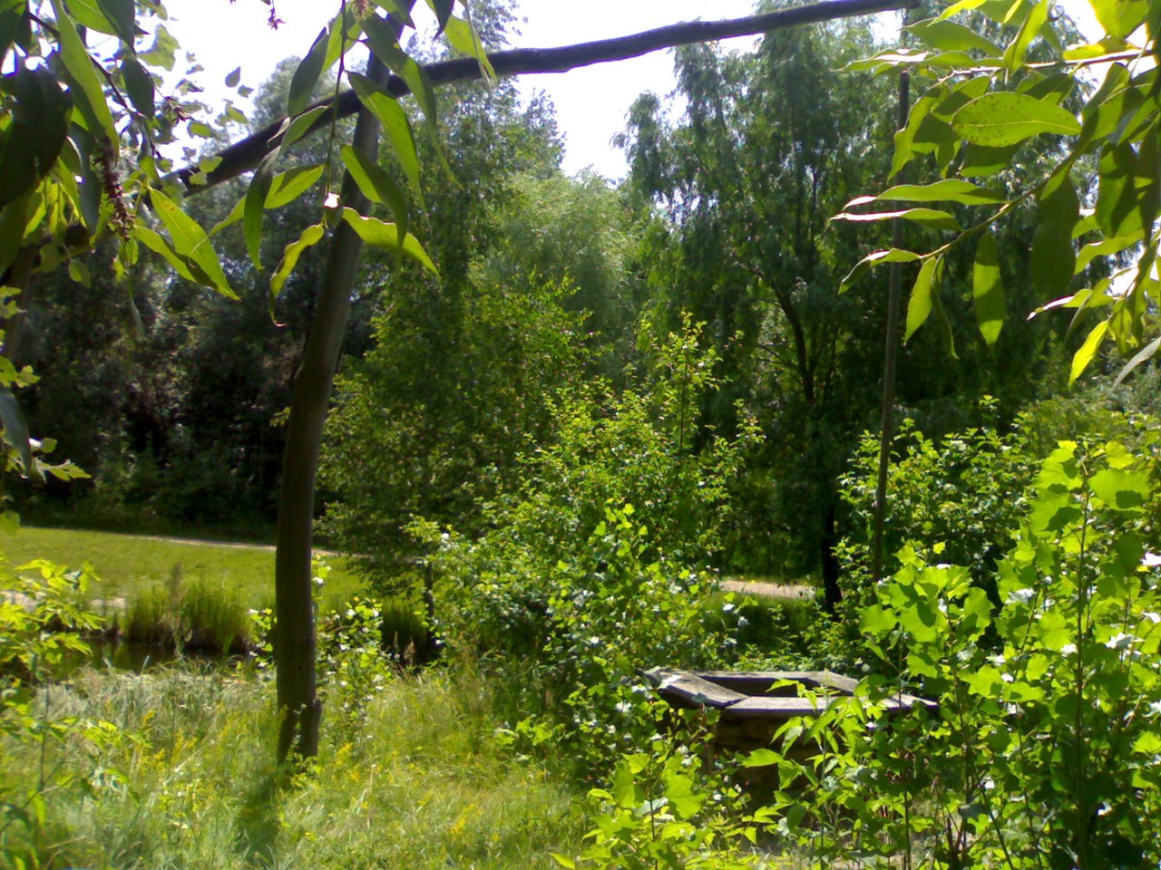 Киев - Мариуполь