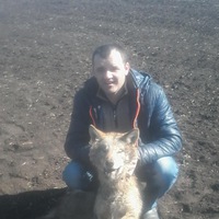 Александр Тимощук | 