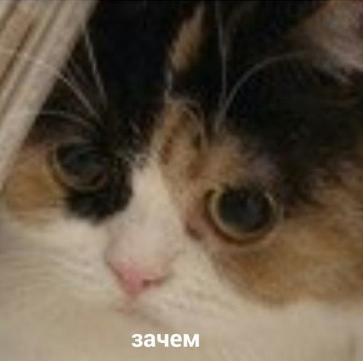 dRZMMzvc0y8.jpg