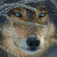 Борис Миллер | Москва