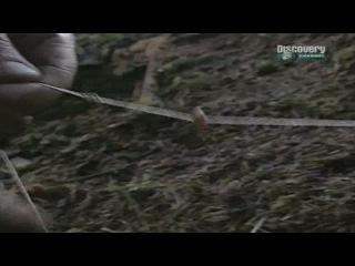 Искусство выживания Рэя Мирса - ВВС Великобритании.