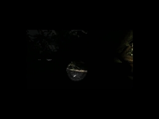 Испанский Outlast 2