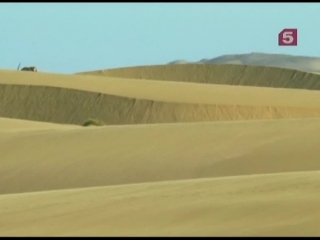 BBC Мир Природы. Слоны песчаной реки / The Natural World. Elephants of the Sand River