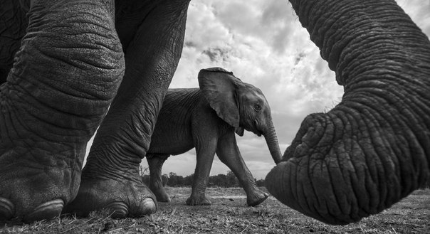 #Фотограф Anup Shah