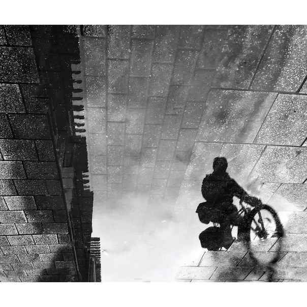 #Фотограф Mark Fearnley