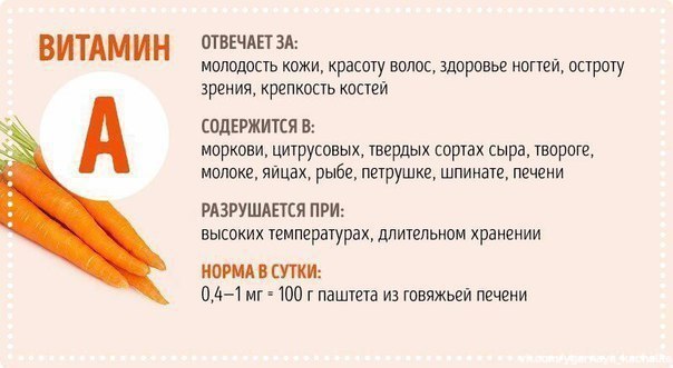 Всё, что нужно знать о витаминах 