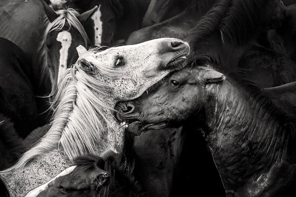 #Фотограф Javier Arcenillas