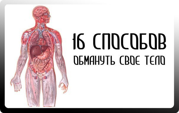 16 СПОСОБОВ ОБМАНУТЬ СВОЕ ТЕЛО 