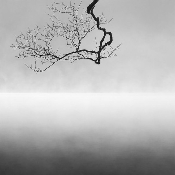 #Фотограф Nick Green