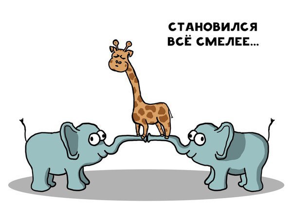 O6xf93Zqq2Q.jpg