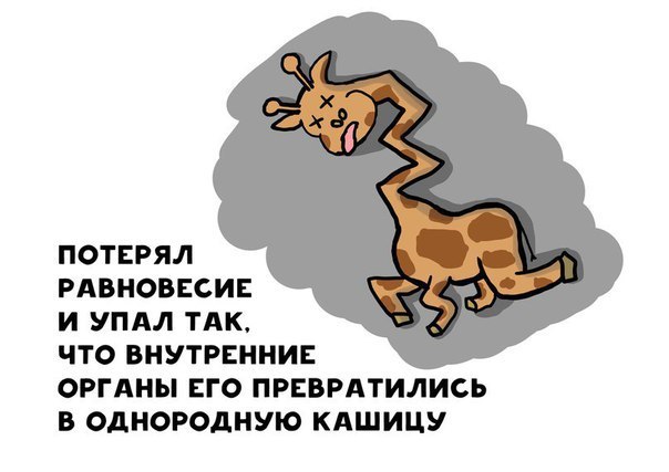-LQ10RJrjf8.jpg