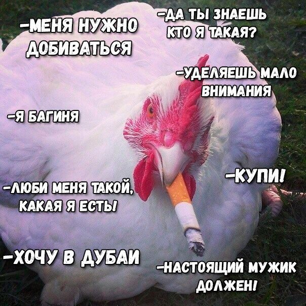 Большинство современных девушек