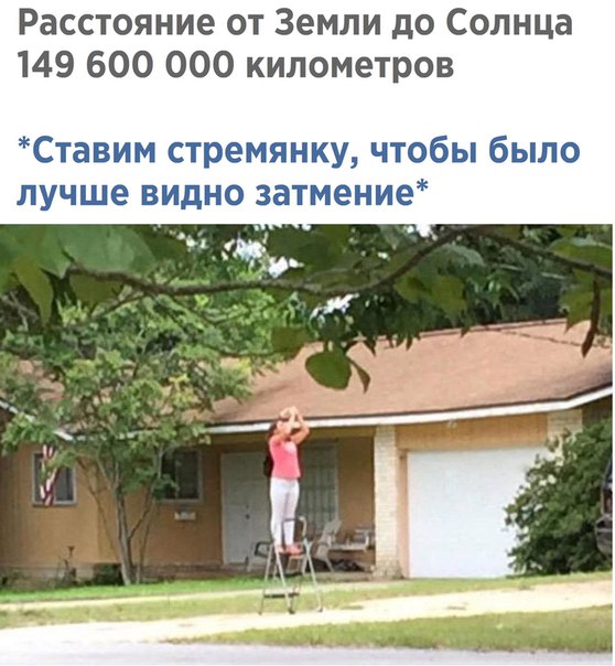 смешные картинки