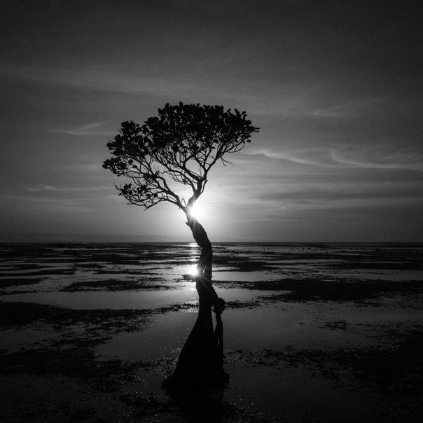 #Фотограф Judy N. Adhitianto Adhitianto