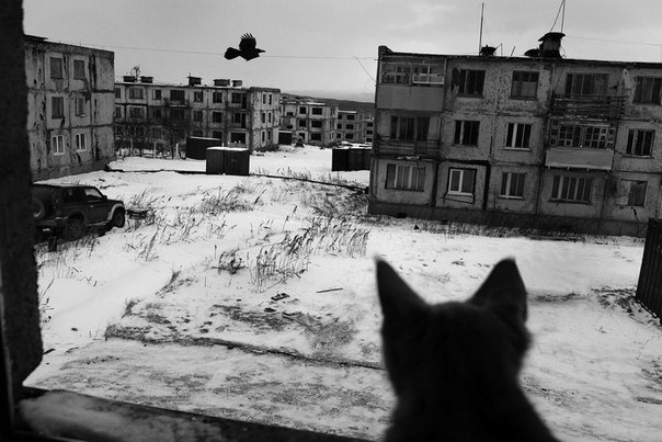 Фотограф Олег Климов