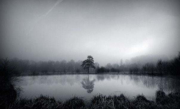 Фотограф Julien Chauvin
