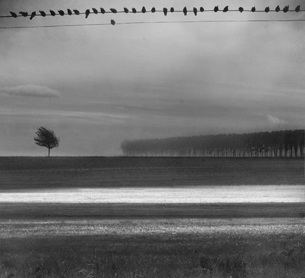 Фотограф Алекс Ховитт (Alex Howitt)