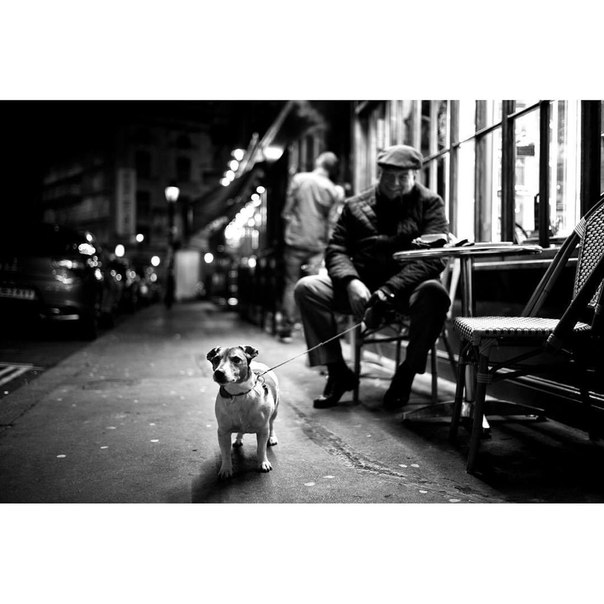 Фотограф Alan Schaller