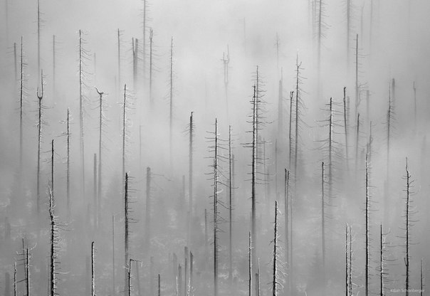 Фотограф Kilian Schonberger