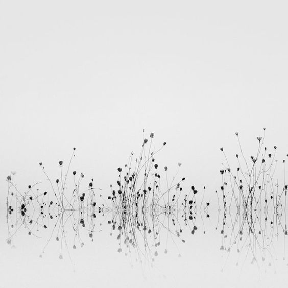 Фотограф Nicholas Bell
