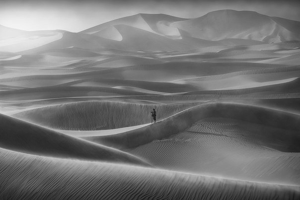Фотограф Abdulla Almajed