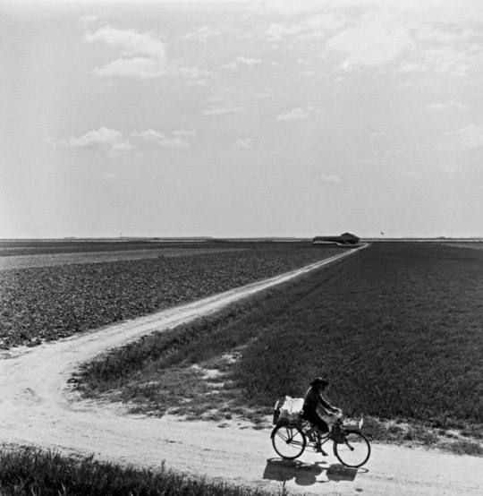 Фотограф Pietro Donzelli, 1954 год