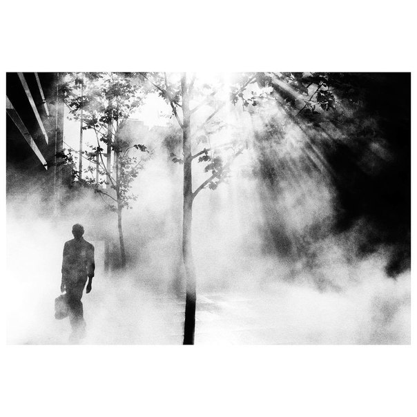 Фотограф Trent Parke