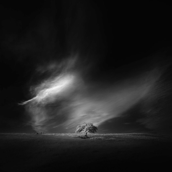 Фотограф Andy Lee
