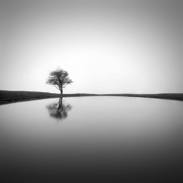 Фотограф Noel Bodle
