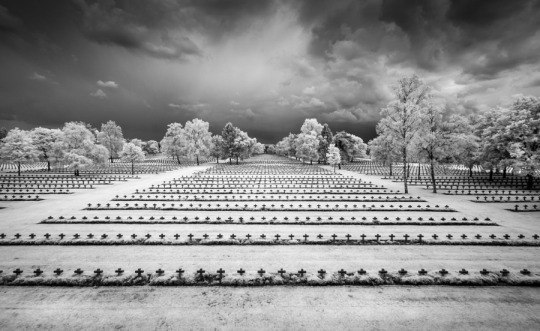 Фотограф Sus Bogaerts