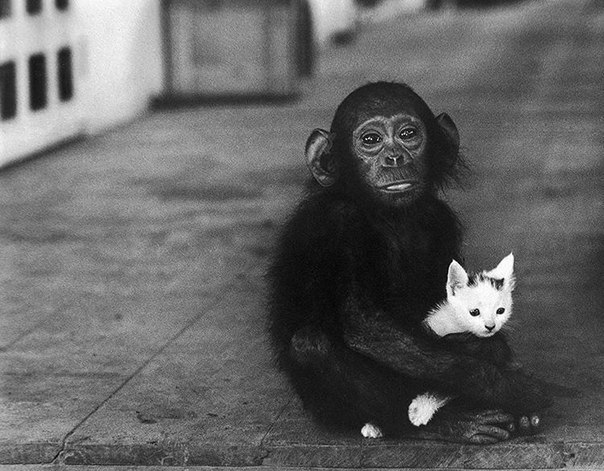 Фотограф Getty Images