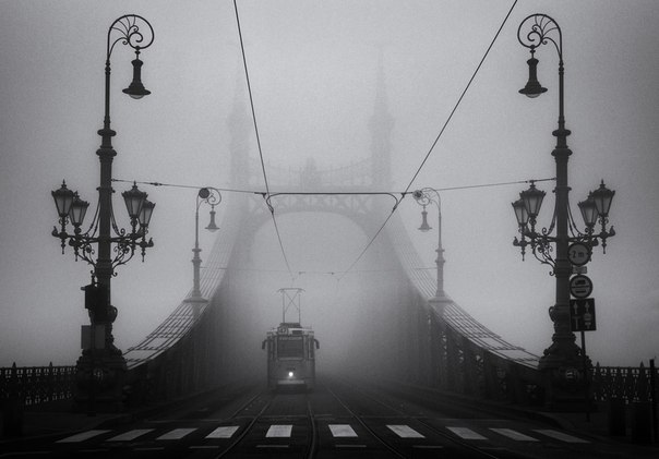 Фотограф Sledz