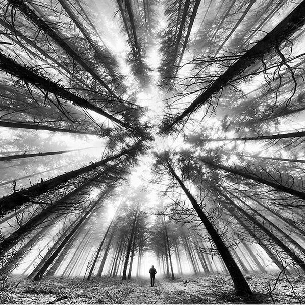 Фотограф Francois Casanova