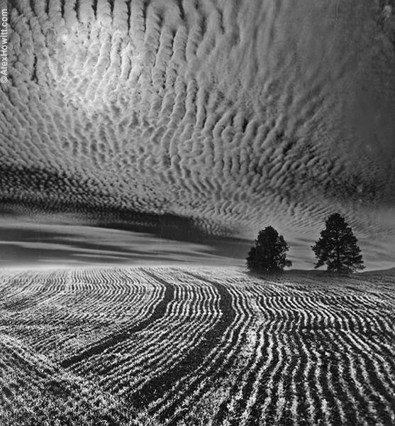 Фотограф Алекс Ховитт (Alex Howitt)