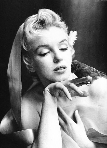 Серия черно-белых фотографии с Мэрилин Монро (Marilyn Monroe), Нью-Йорк, 1956 год. Фотограф Сесил Битон (Cecil Beaton)