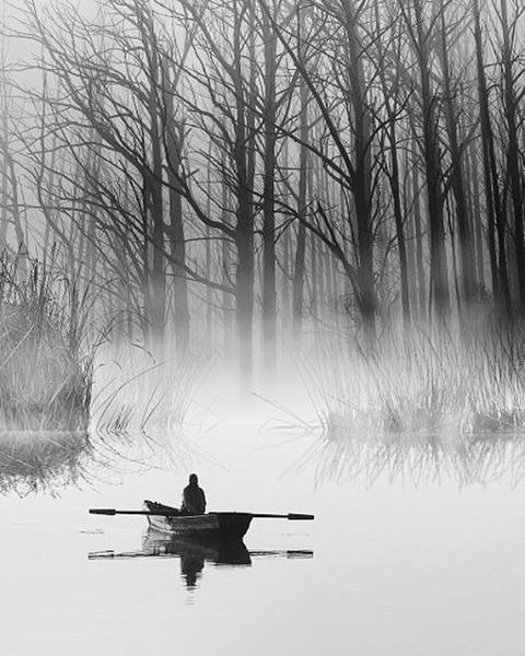 Фотограф Sam Assadi