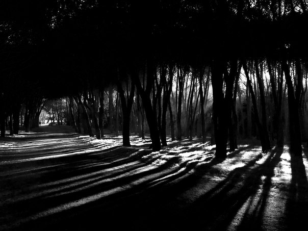 Фотограф Javier Snchez