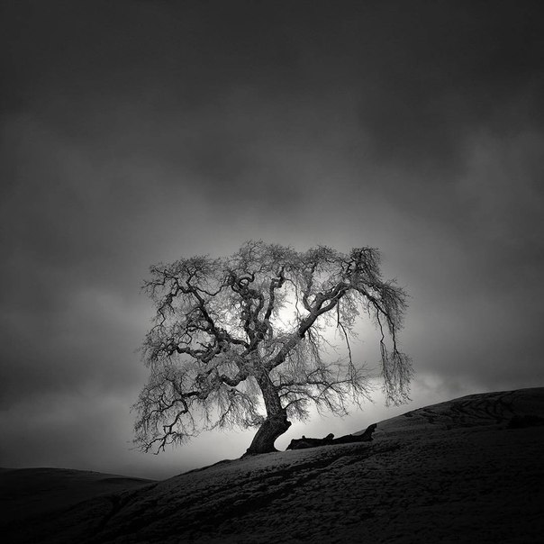 Фотограф Nathan Wirth