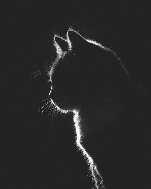 #Фотограф Gabriel Guerrero