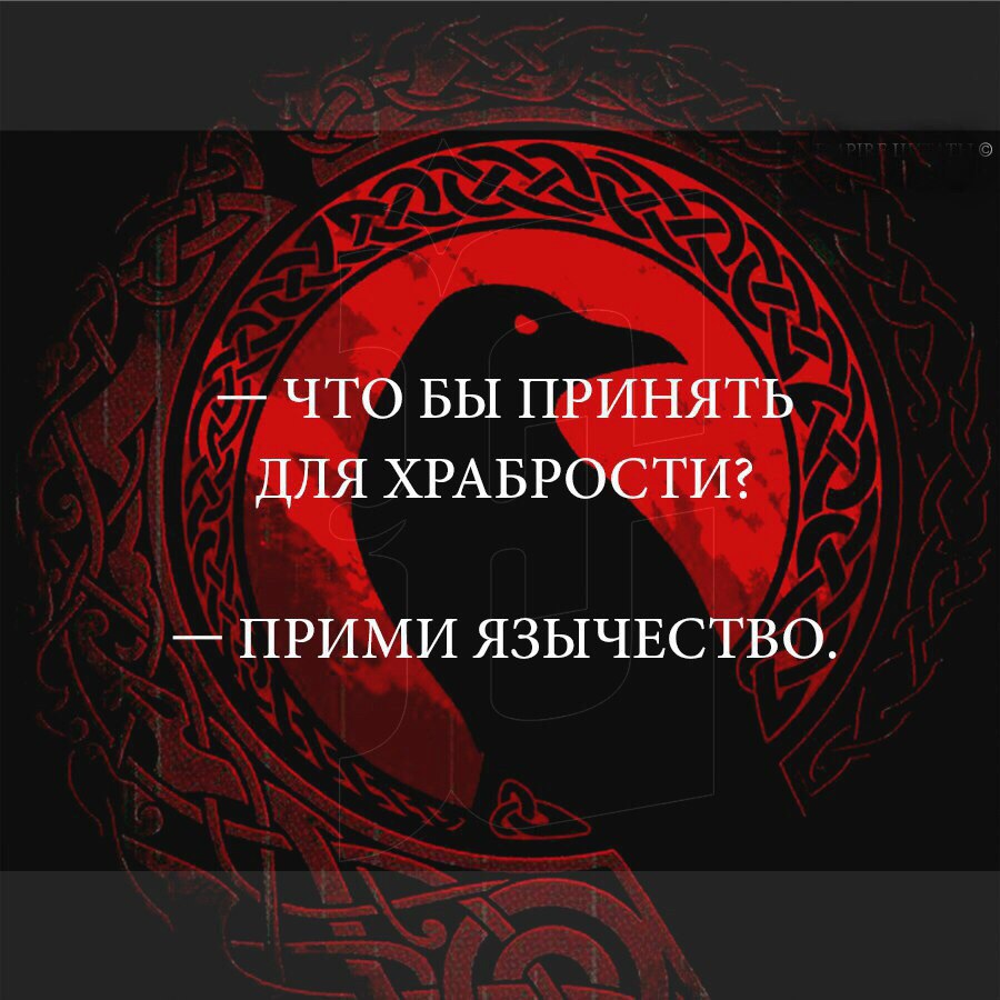 https://pp.userapi.com/c635101/v635101626/249ff/6sBNGVig6sM.jpg