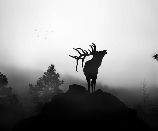 #Фотограф Stjin Dijkstra
