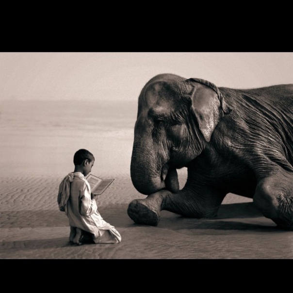 #Фотограф Gregory Colbert