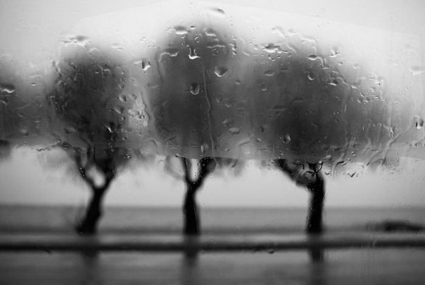 #Фотограф Stavros Stamatiou