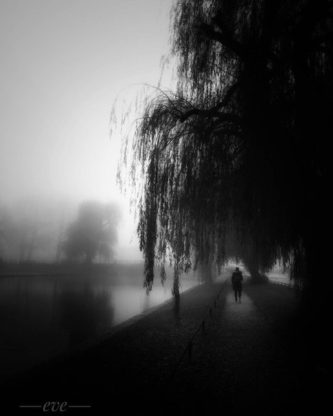 #Фотограф Evelien Brammer